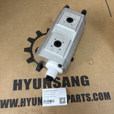 Hyunsang Excavator Parts Gear Pump 0510565389