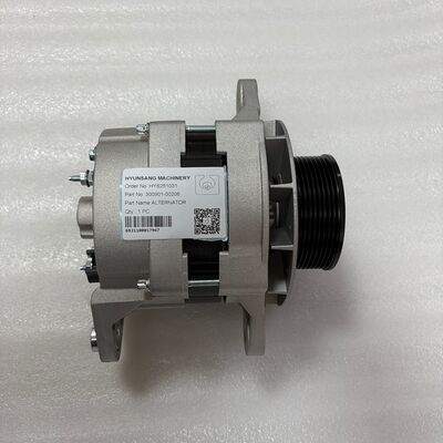 Engine Parts Alternator 300901-00206 30090100206 for DX140LC DX140LC-3 DX160LC